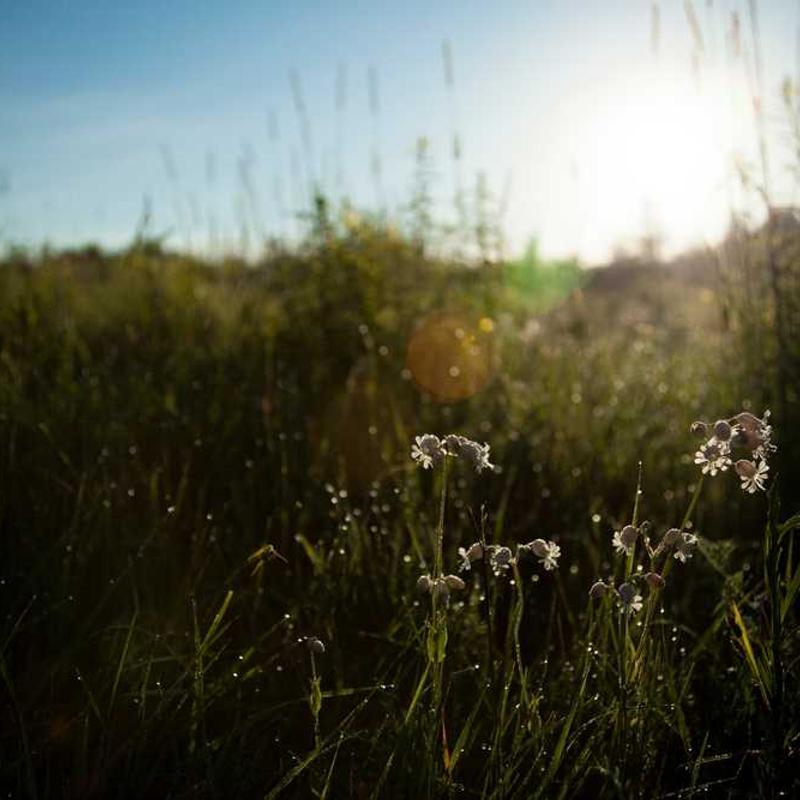 The Play That Goes Wrong